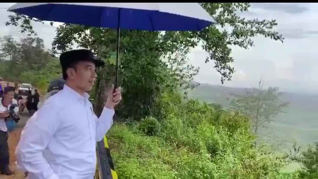 Naik Land Cruiser, Jokowi Tinjau Titik Istana di Ibu Kota Baru
