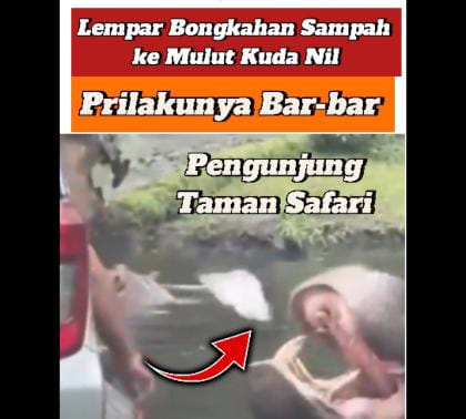 PERILAKU BARBAR, PENGUNJUNG TAMAN SAFARI KASIH BONGKAHAN SAMPAH DIMAKAN' KUDA NILL