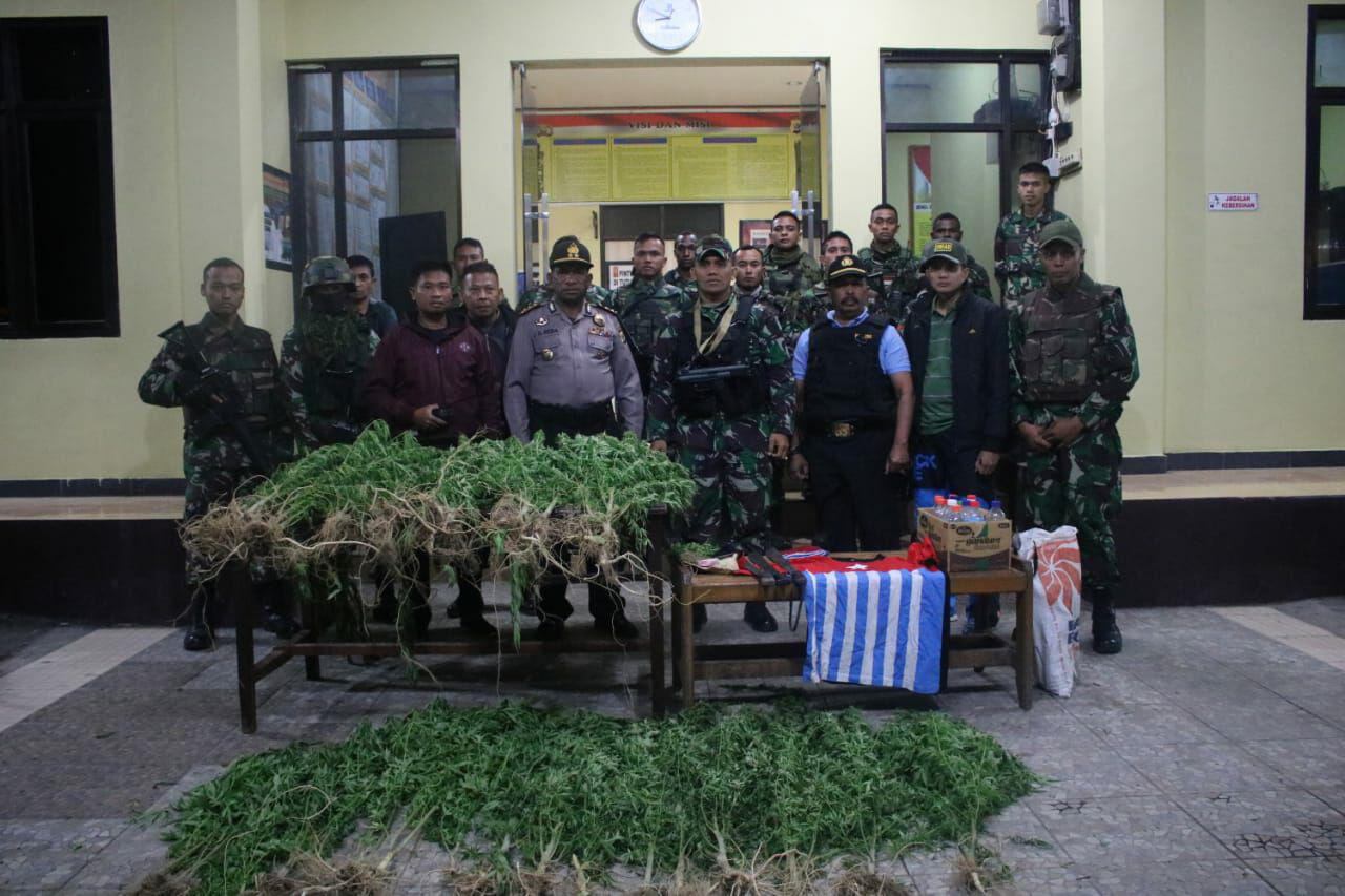 PRAJURIT YONIF 756/WMS MENANGKAP PEMILIK LADANG GANJA + PENGEDAR DI KOTA WAMENA