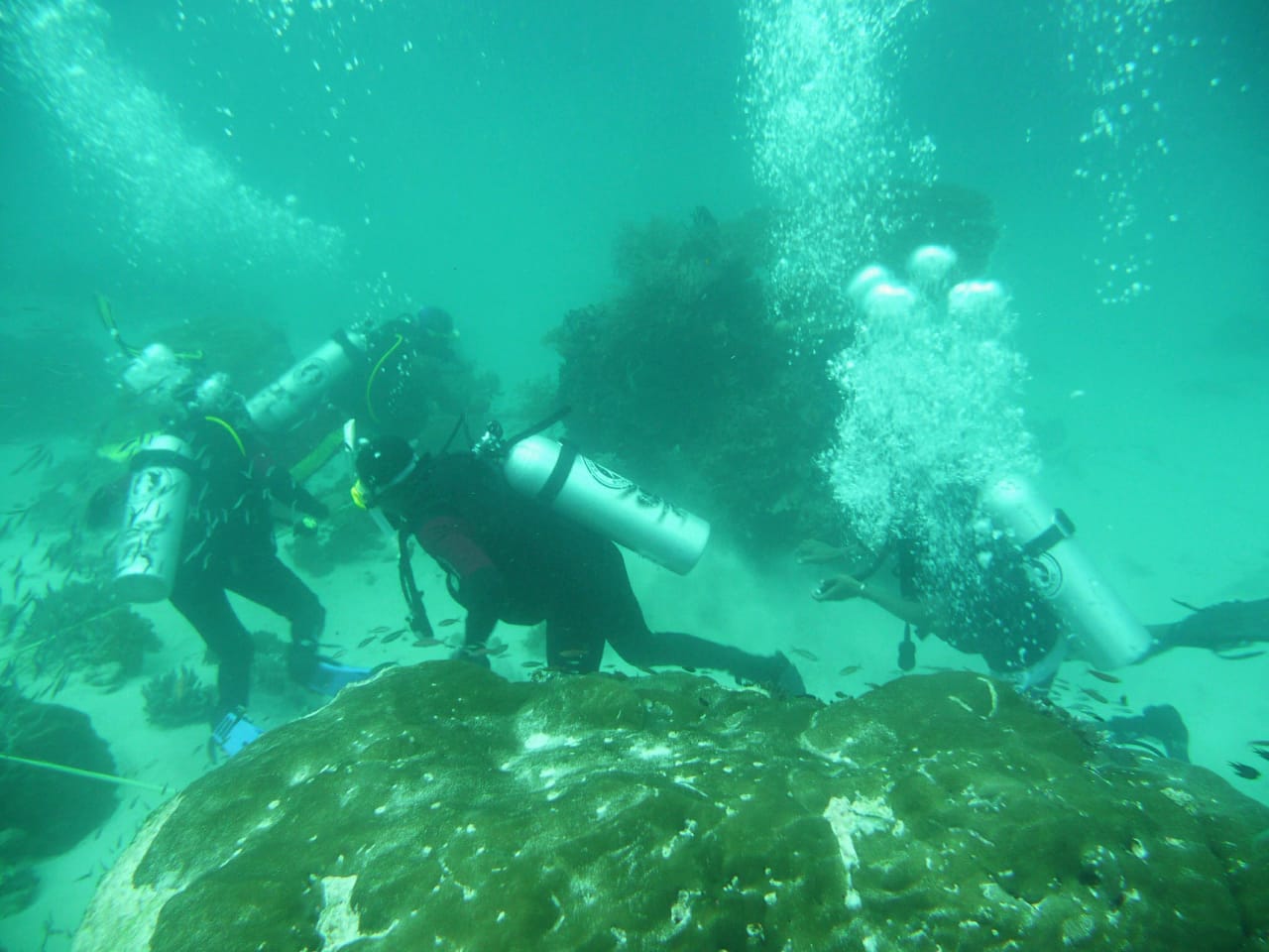 Kampung Sawinggrai Distrik Mios Mansar Mengadakan Pelatihan Diving