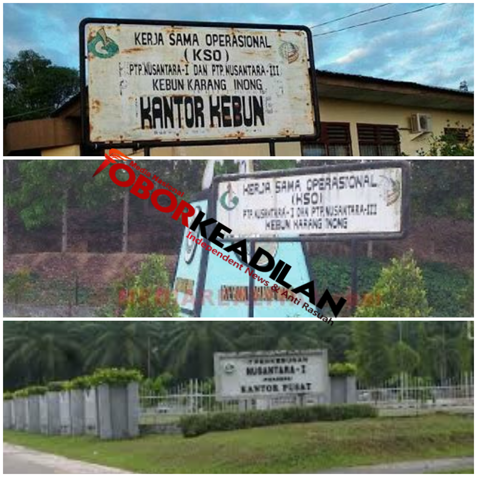 Manajer KSO PTP N Karang Inong Diduga Pekerjakan Karyawan di Kebun Milik Pribadinya