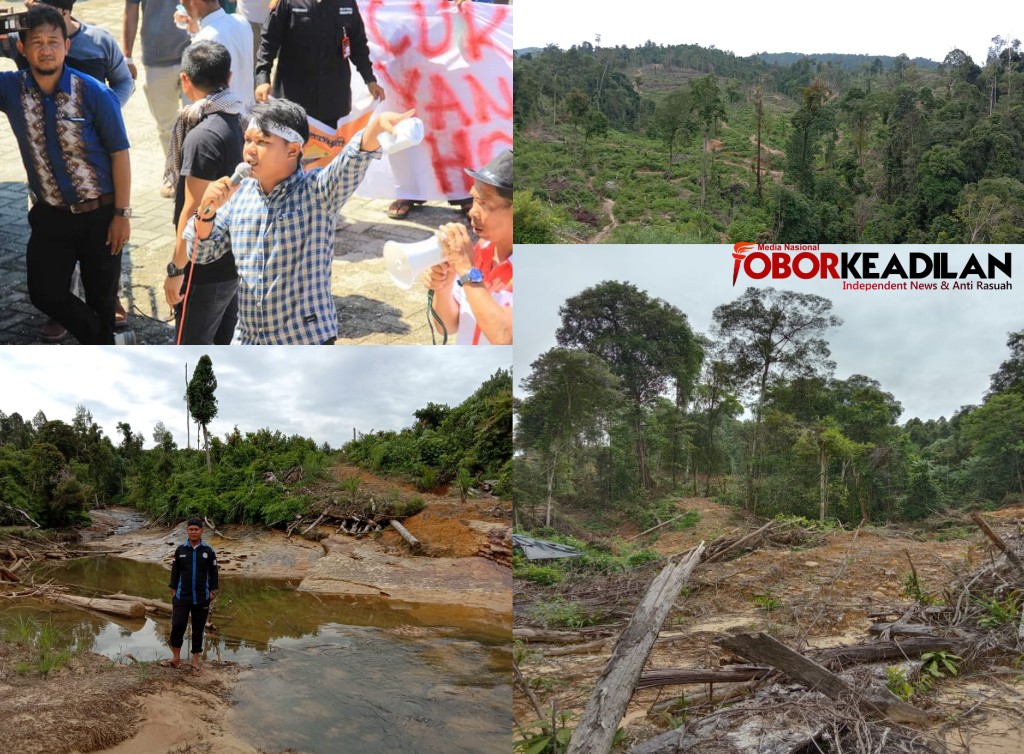 Diduga Lakukan Perambahan Ilegal, AMM SaKa Lapor PT. Laot Bangko Ke Polda Aceh