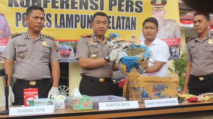 Kirim Ganja 5 Kg via Jasa Pengiriman Barang Digagalkan Polres Lampung Selatan