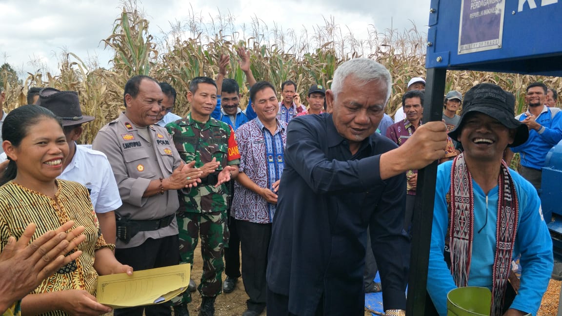 [BUMDES] Desa Natumingka Panen Jagung 7,9 Ton, Koramil 15/Hbs dan Bupati Tobasa Hadir 