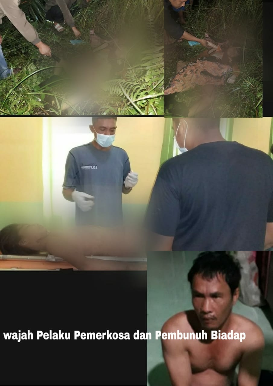 Biadab ! Sebelum Dibunuh Secara Sadis Korban Diperkosa Terlebih Dahulu