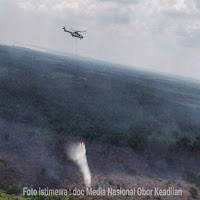 Puluhan  Hektar lahan Gambut Terbakar, Polres Pelalawan Padamkan Api  lewat Udara
