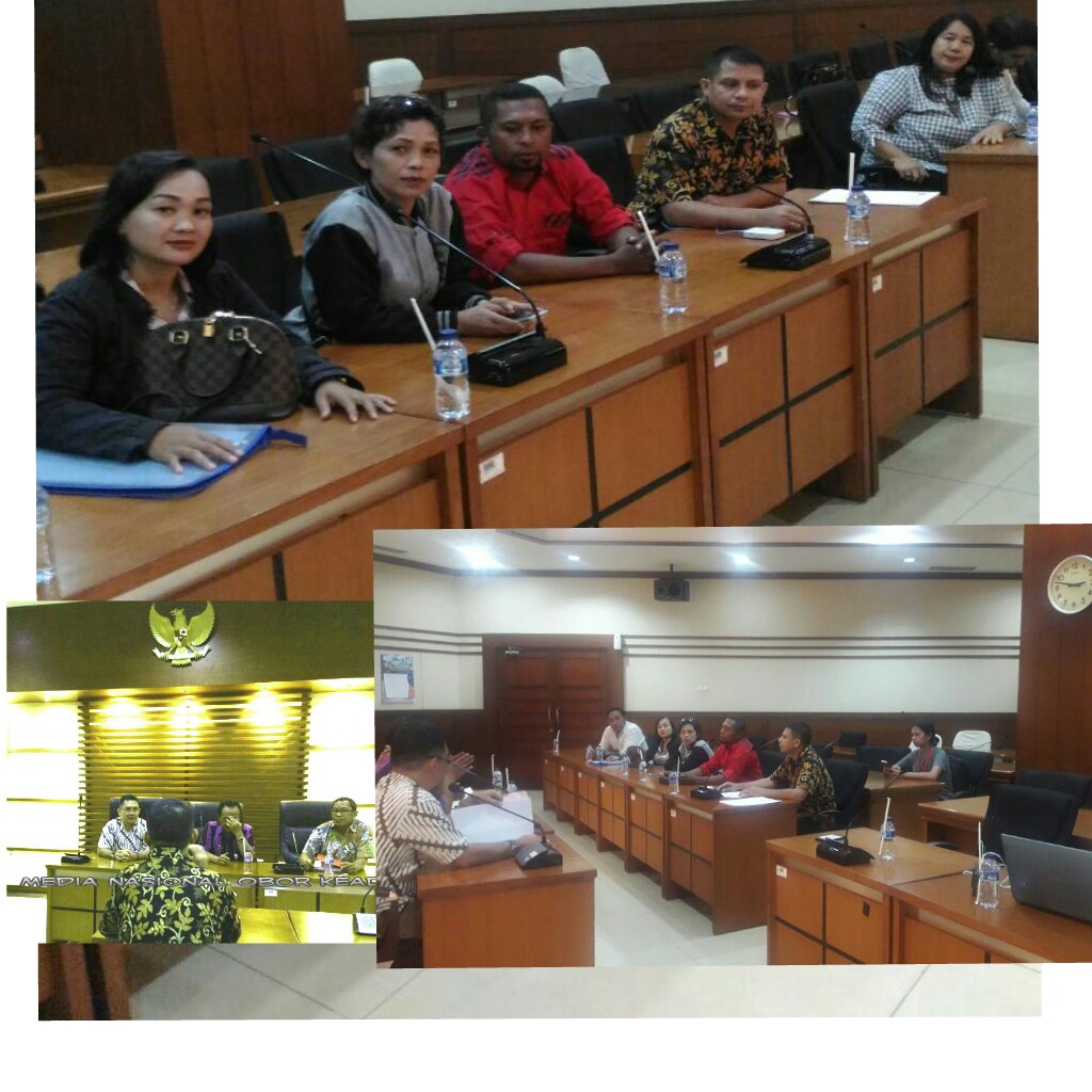 Status Honorer NTT Terkatung katung Menuai Reaksi Hingga Audiensi ke BKN