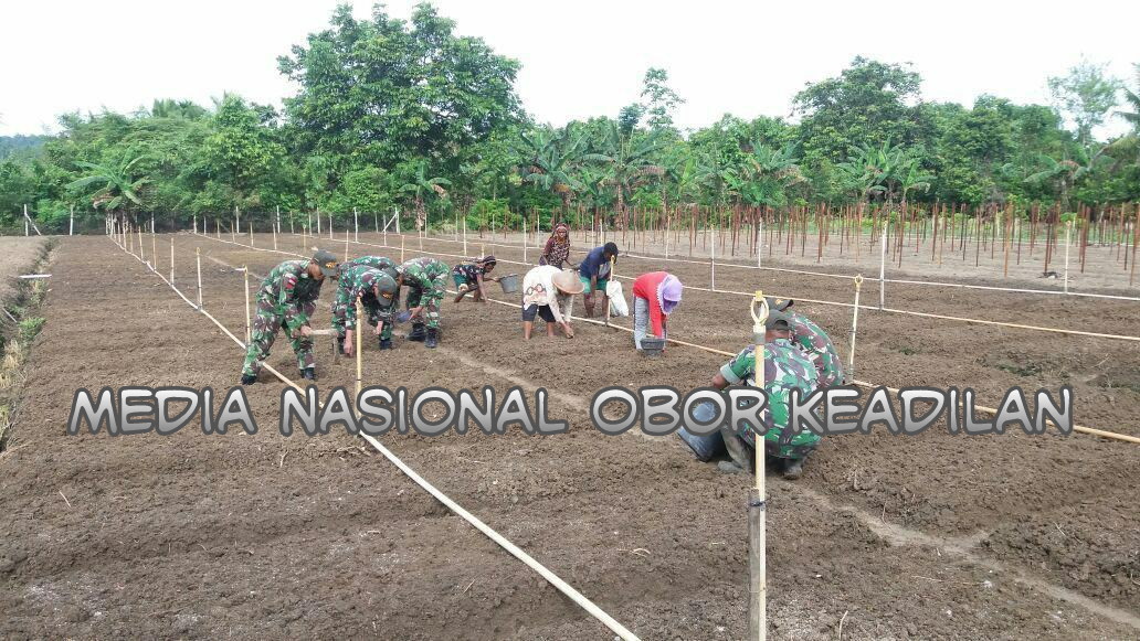 ANTISIPASI LONJAKAN HARGA, SATGAS YONIF 410/ALG BERSAMA WARGA TANAM BAWANG MERAH