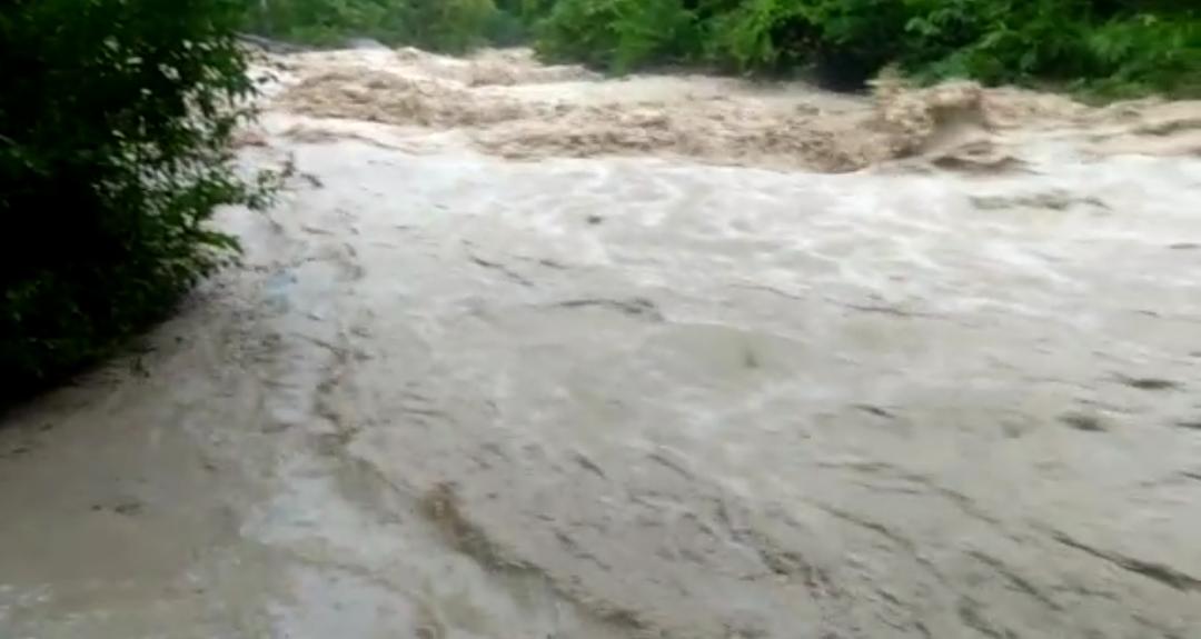Dampak Penebangan Hutan,  Keselamatan Warga Hatapang Terancam