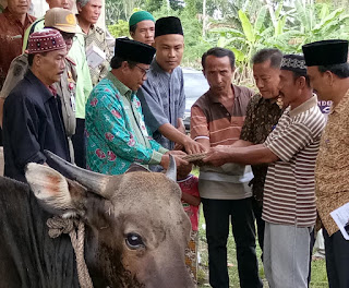 Merayakan Hari Raya Idul Adha, Pemerintah Kabupaten Nias Siapkan Hewan Kurban