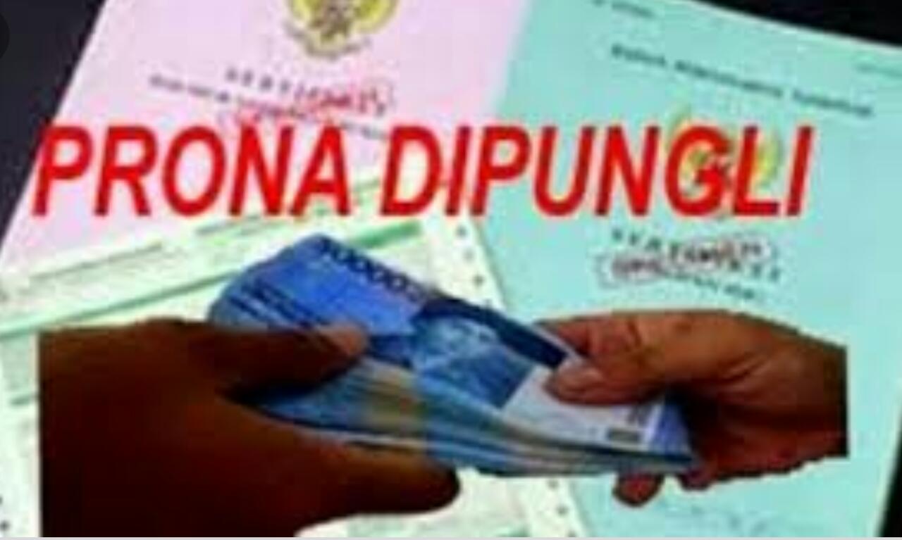 Prona Jokowi Gratis, Disinyalir Dipungli Kades Wira Jaya Kab Mesuji Lampung