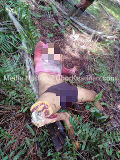 Mengenaskan Harimau Terkam seorang wanita Buruh Perkebunan sawit hingga Tewas