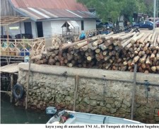 Ratusan Batang Kayu Diamankan TNI AL Di Batam