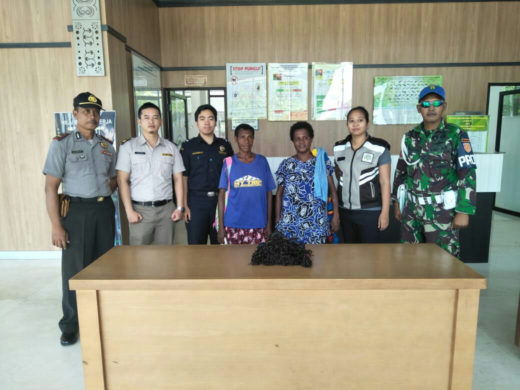Vanili Ilegal Diamankan Satgas Yonif Para Raider 501 Kostrad Di Perbatasan RI-PNG