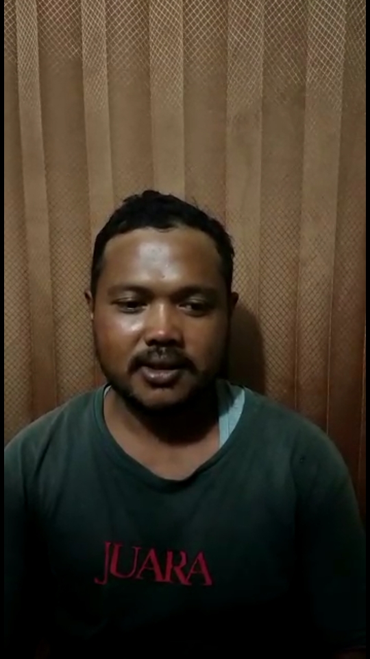 Berita Heboh Kemunculan Harimau Sumatera Di Pelalawan - Ternyata HOAX.