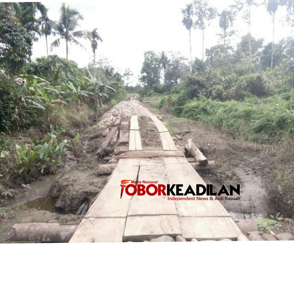 Kabupaten Nias Sudah Berumur 147 Tahun, Desa Ini Belum Tersentuh Jalan Beraspal