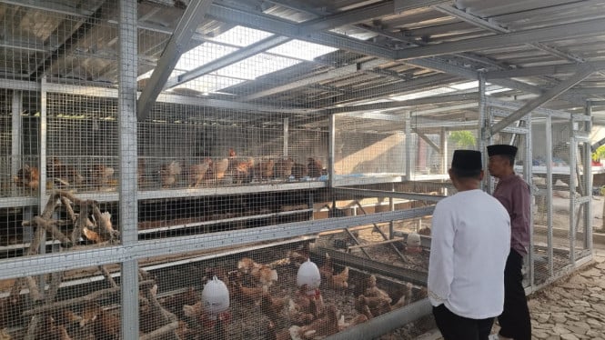 Program Pemberdayaan Napi Rutan Muntok: Dari Sel Tahanan Menuju Profesi Peternak Mandiri