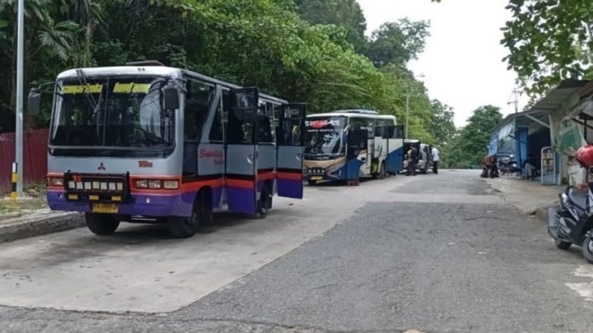 Krisis Transportasi Samarinda: Lima PO Bus AKAP Terpaksa Henti Operasional di Tengah Lonjakan Permintaan Mudik
