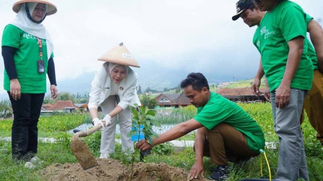 PNM Mobilisasi Masyarakat untuk Penyelamatan Hutan Tropis, Tanam Ribuan Pohon di Hari Hutan Sedunia