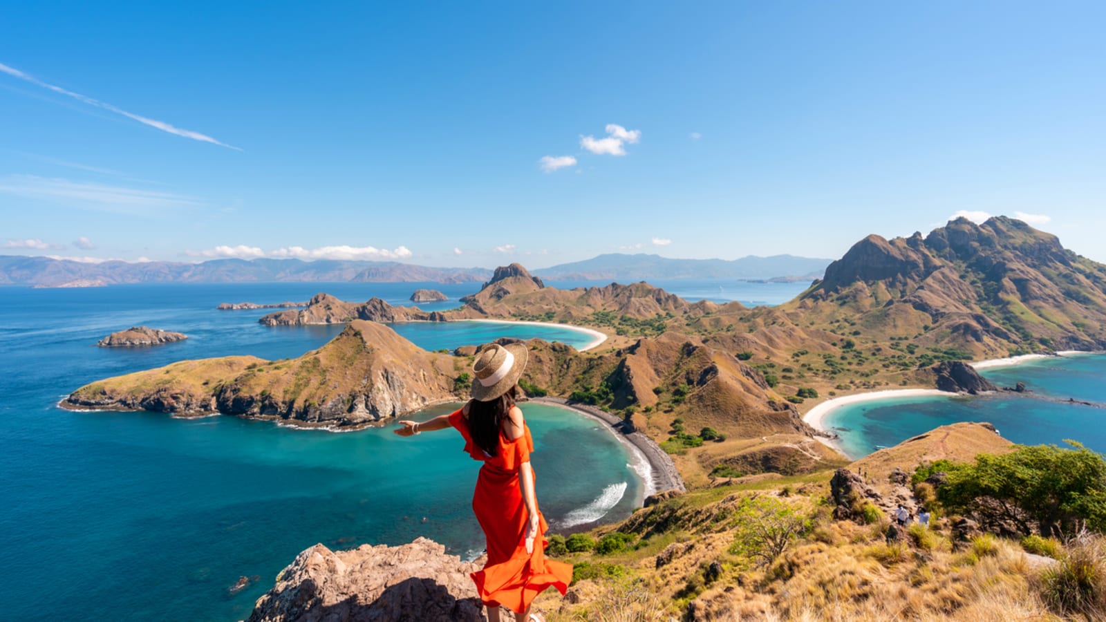 Komodo di Persimpangan: Gelar 'Keajaiban Dunia' Justru Memicu Ancaman Serius terhadap Kelestarian Alam