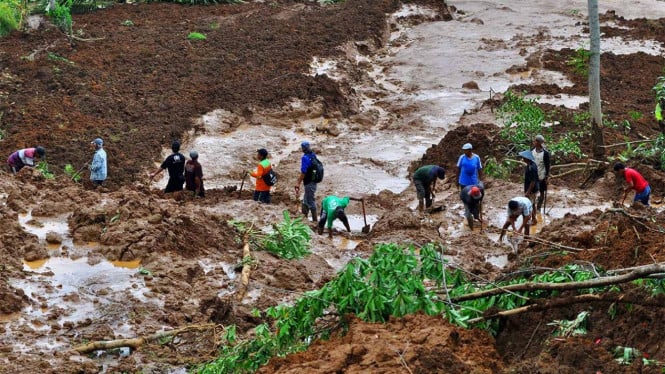 Bencana Tanah Longsor Deliserdang: Enam Nyawa Melayang, Tim SAR Hentikan Operasi Sementara