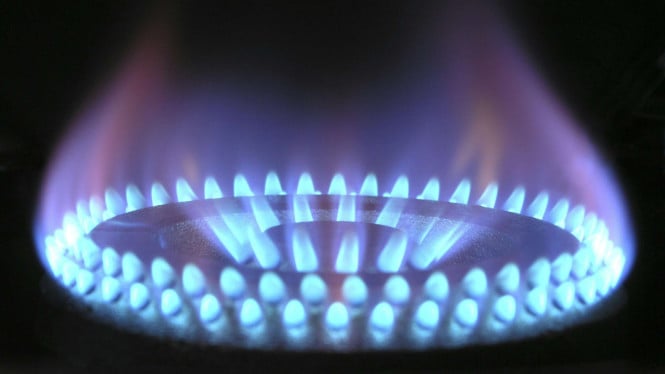 Solusi Energi Alternatif: Kompor Etanol Dinilai Potensial Tekan Beban Subsidi LPG Indonesia