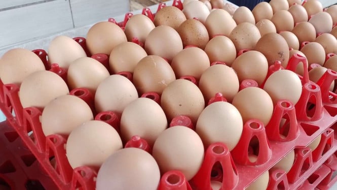 Volatilitas Harga Pangan Semakin Tajam: Cabai Rawit Merah Sentuh Rp 83 Ribuan, Telur Ayam Turun ke Level Rp 32 Ribuan