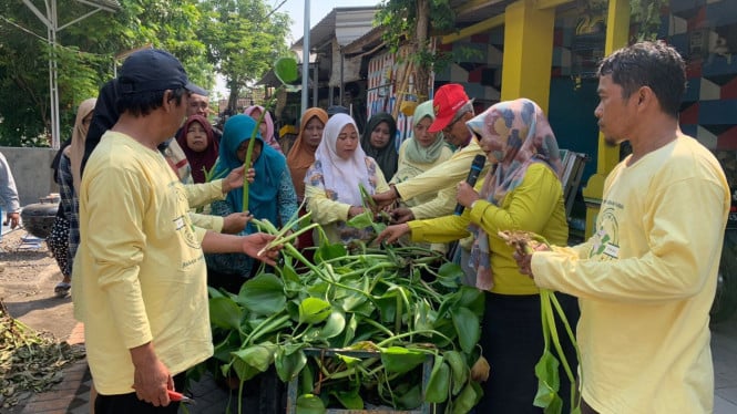 Pertamina Patra Niaga Revolusionalisasi Bahan Bakar Ramah Lingkungan dengan Teknologi FAME dan Pemanfaatan Eceng Gondok