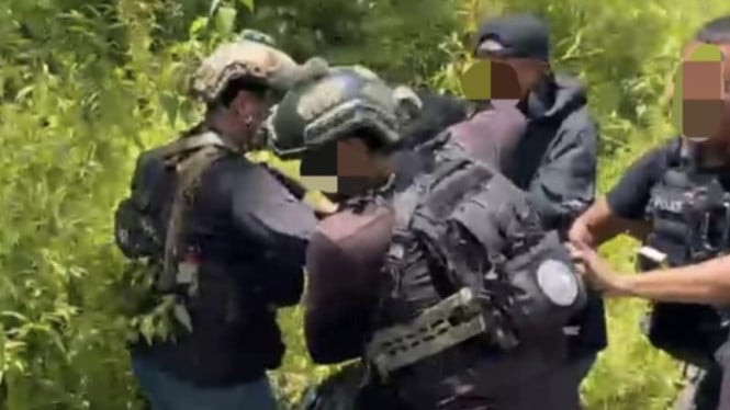 Operasi Damai Cartenz Amankan Tersangka KKB di Timika, Polisi Buka Sejumlah Kasus Pidana