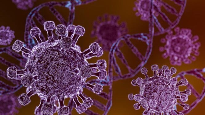 Kapal Pesiar Menjadi Sumber Penyebaran Hantavirus: Swiss Konfirmasi Kasus Pertama Penumpang