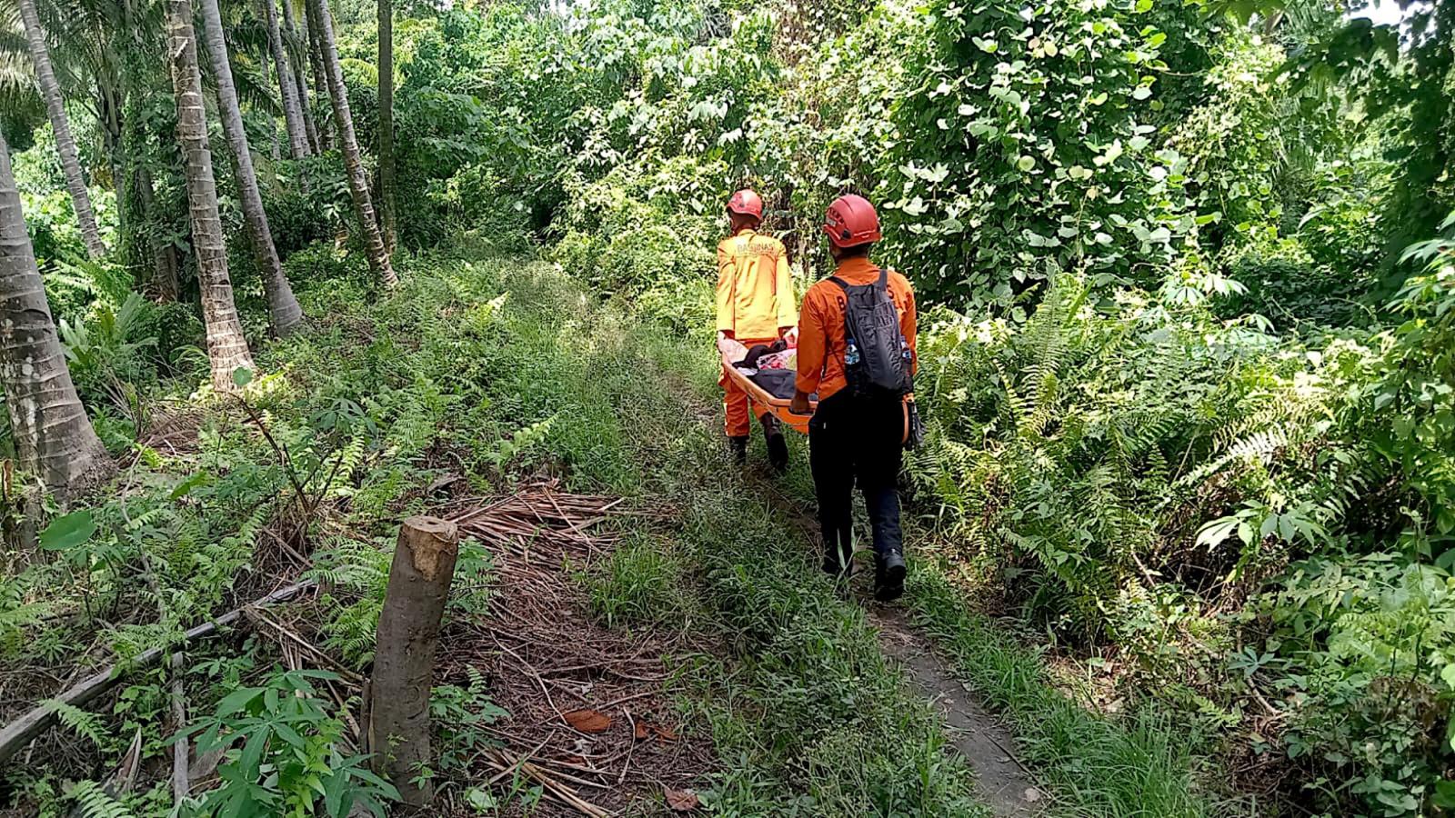 Tragedi Pendakian Gunung Dukono: Satu Pendaki Tewas, Dua Lainnya Masih Hilang dalam Operasi Pencarian Intensif