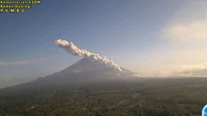 Aktivitas Vulkanik Gunung Semeru Meningkat: Kolom Abu Meletus Setinggi Seribu Meter di Pagi Hari Minggu