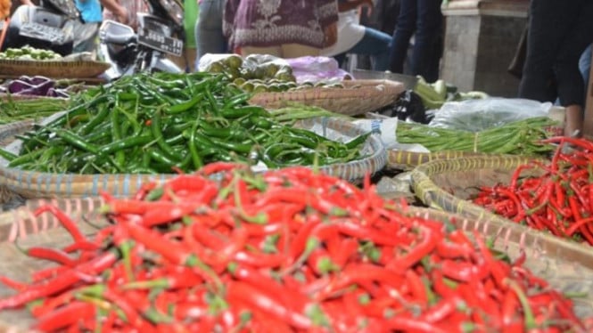 Harga Cabai Rawit Merah Membumbung Tinggi Capai Rp74.550 per Kilogram, Beban Ekonomi Rumah Tangga Indonesia Semakin Berat