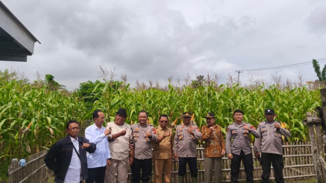 Polres Karawang Menjadi Garda Terdepan Pengamanan Produksi Pangan Nasional Melalui Program Jagung Hibrida