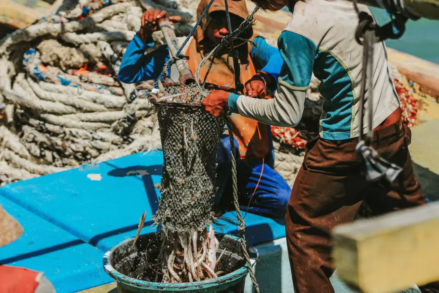 Krisis Ekonomi Nelayan Gresik: Harga Hasil Laut Jatuh Bebas, Pendapatan Keluarga Terancam