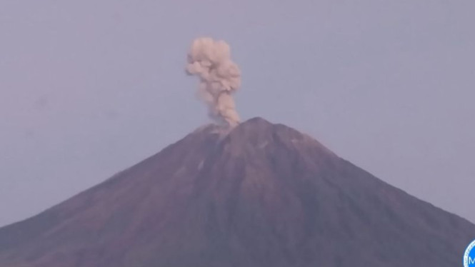 Aktivitas Vulkanik Gunung Semeru Meningkat Drastis: Tujuh Letusan Membahayakan Kawasan Lumajang-Malang