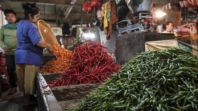 Angin Segar bagi Konsumen: Harga Cabai dan Bawang Merah Mulai Terjal Memasuki Juli 2026