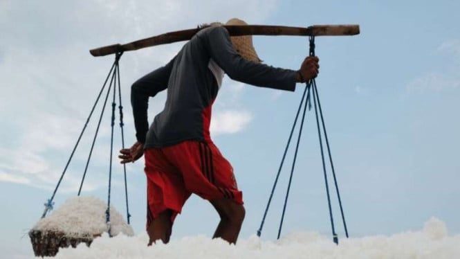 Lonjakan Impor Garam di Kuartal Pertama 2026 Mengancam Industri Lokal, Desakan Pengetatan Kuota Makin Gencar