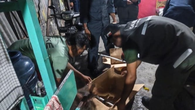 Operasi Besar-besaran Kemenhut Bongkar Sindikat Perdagangan Burung Langka melalui Marketplace Digital di Papua