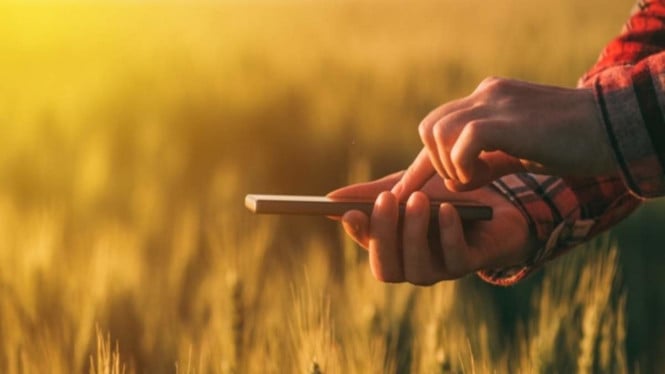 Aksesibilitas Teknologi untuk Petani: Pilihan Smartphone Terjangkau dengan Performa Handal di Wilayah Terpencil