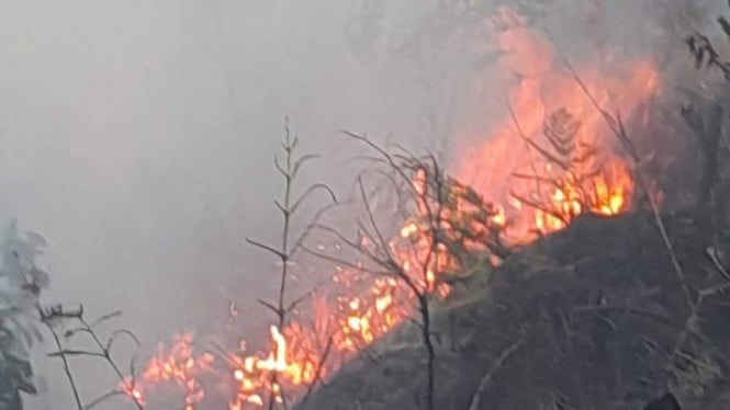 Kebakaran Lahan di Blok Bantengan, Otoritas Tutup Sejumlah Pintu Masuk Wisata Gunung Bromo untuk Keselamatan Pengunjung