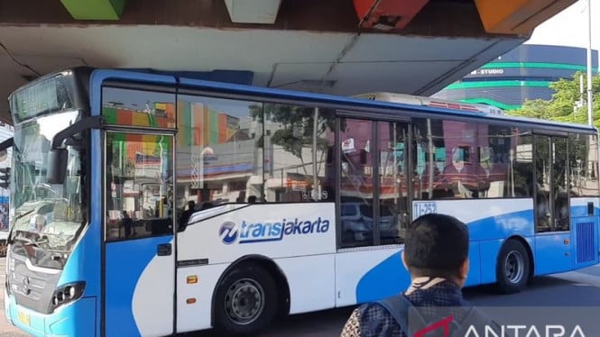 PT Transjakarta Lakukan Tindakan Tegas: Sopir Penyebab Kecelakaan Lansia di Tomang Dipecat Tanpa Hormat