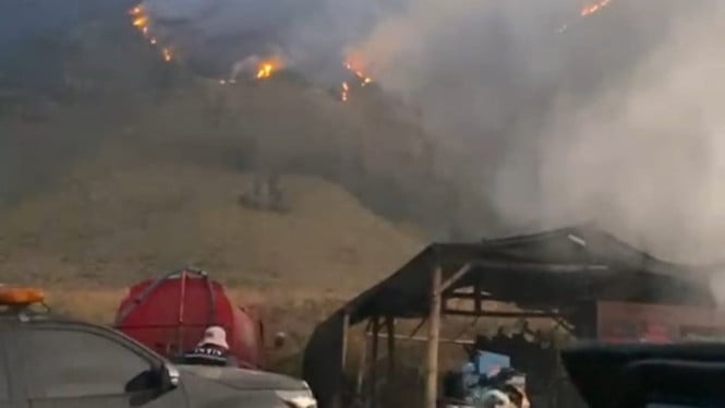 BNPB Siapkan Teknologi Modifikasi Cuaca untuk Tanggulangi Kebakaran Hutan di Kawasan Bromo