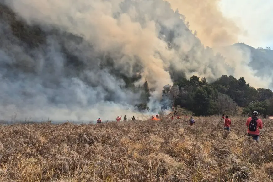 Kebakaran Gunung Bromo Terus Berkembang, Lima Pintu Akses Wisatawan Masih dalam Kondisi Tertutup