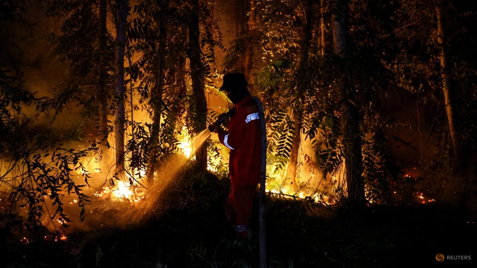 Asap Kebakaran Hutan Melanda Pulau Sumatera, Sistem Pendidikan Mulai Bergerak Antisipasi Dampak Kesehatan Pelajar
