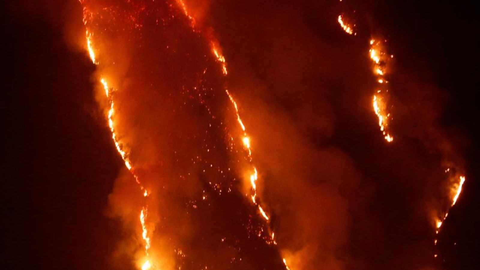Upaya Pemadaman Kebakaran Gunung Bromo Terus Berlanjut, Ribuan Hektar Lahan Terdampak