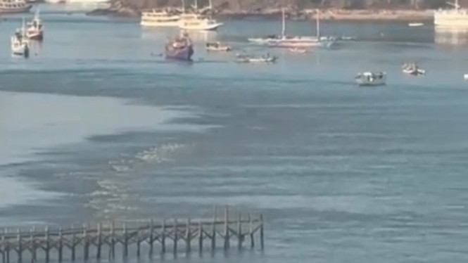 Gempa Dahsyat M 7,7 Guncang NTT, Fenomena Surut Air Laut Terekam dalam Video Menakutkan
