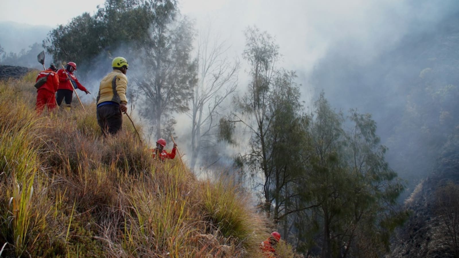 Gunung Bromo Resmi Beroperasi Normal, Pemerintah Tetapkan Batasan 2.752 Pengunjung Harian untuk Keamanan Wisatawan