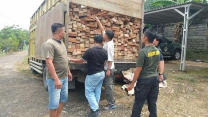 Sindikat Penebangan Ilegal TN Bukit Tigapuluh Diungkap, Sopir Pengangkut Kayu Terima Belasan Muatan Mencurigakan