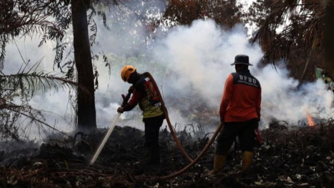 Darurat Kesehatan Pernapasan: ISPA Melonjak 78 Persen Akibat Kebakaran Hutan, Kemenkes Mobilisasi Ratusan Petugas Medis